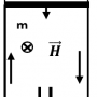 ggf3-7-2.png